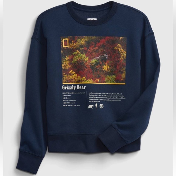 Gap National Geographic Grizzly Bear Crewneck Kids Sweatshirt Size L - Picture 3 of 9